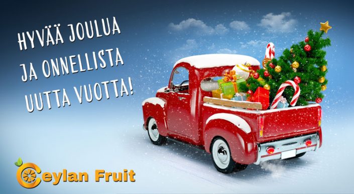 joulu2017ceylan